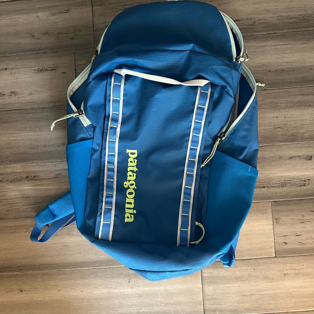 Patagonia Blackhole Blue and Yellow Men's Backpack